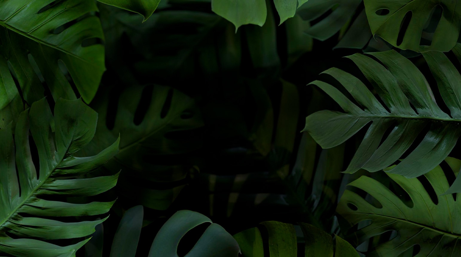 Eco-Friendly Options: Protect the Environment with Unigen PVC Flooring