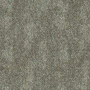 Ivy 697